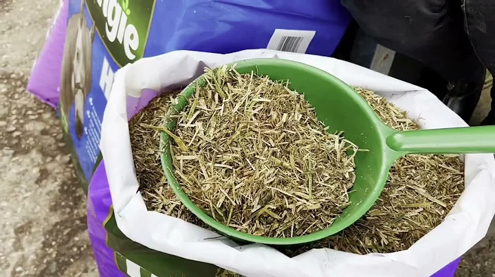 Dealing with Laminitis - feeding a Laminitic horse or pony @DengieHorseFeeds