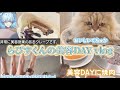 実写 文字起こし 美容dayとは思えない 背徳感のある1日を過ごすらぴすくんの休日密着vlog めておら 切り抜き Lapis らぴす 実写 文字起こし 美容dayとは思えない 背徳感のある1日を過ごすらぴすくんの休日密着vlog めておら 切り抜き Lapis らぴす