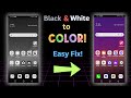 Ultimate Fix for Android Black and White Screen – 100% Effective!