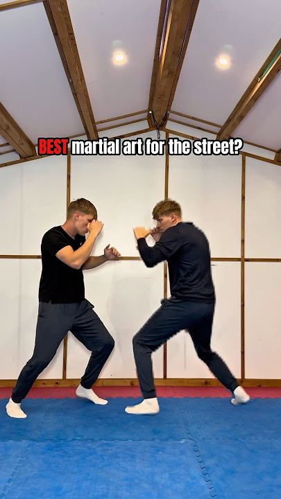 BEST martial art for the street (my opinion)