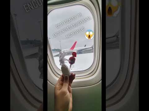 Cc te escapas y te encuentras a tu jefe en el avión