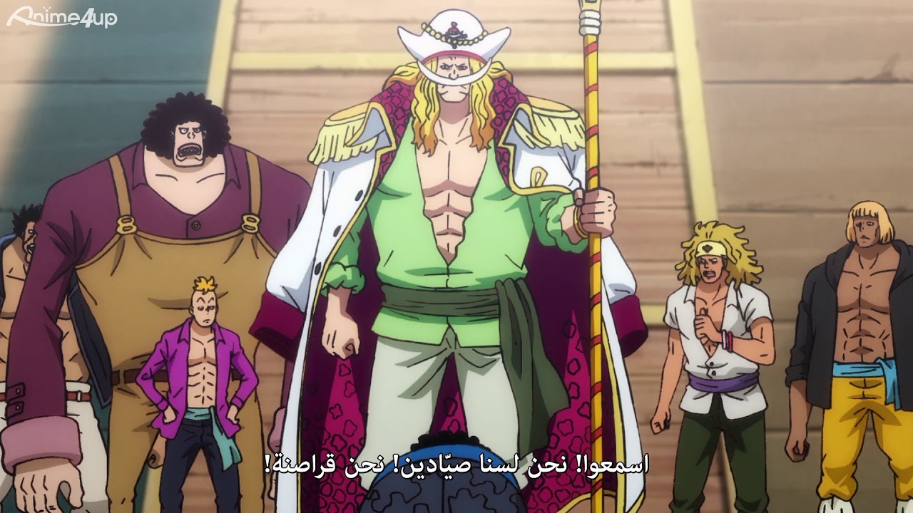 Teach joins the whitebeard crew