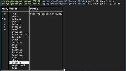 JSON explorer : FTXUI + nlohman::json