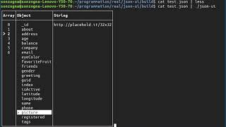 JSON explorer : FTXUI + nlohman::json Net Worth