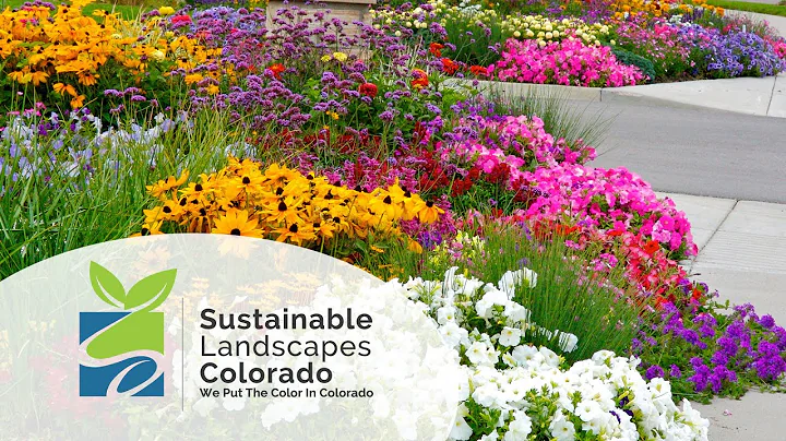 Sustainable Landscapes Colorado // Introduction