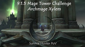 [HOTFIXED] 9.1.5 Mage Tower Challenge - Archmage Xylem - Survival Hunter