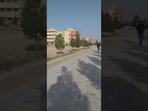 این هم وضیعت دانشگاه بلخ 