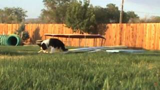 Low Teeter Training