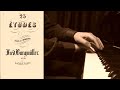 Capture de la vidéo Friedrich Burgmüller -  L'hirondelle Op.100 N.24