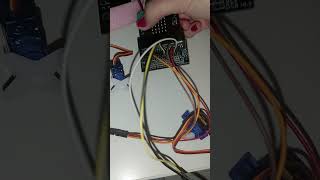 2 x servo motors connected to Micro Bit