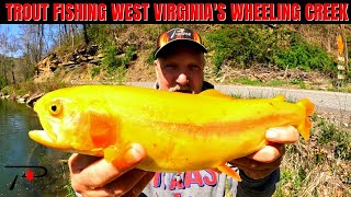 Trout Fishing West Virginia's Wheeling Creek