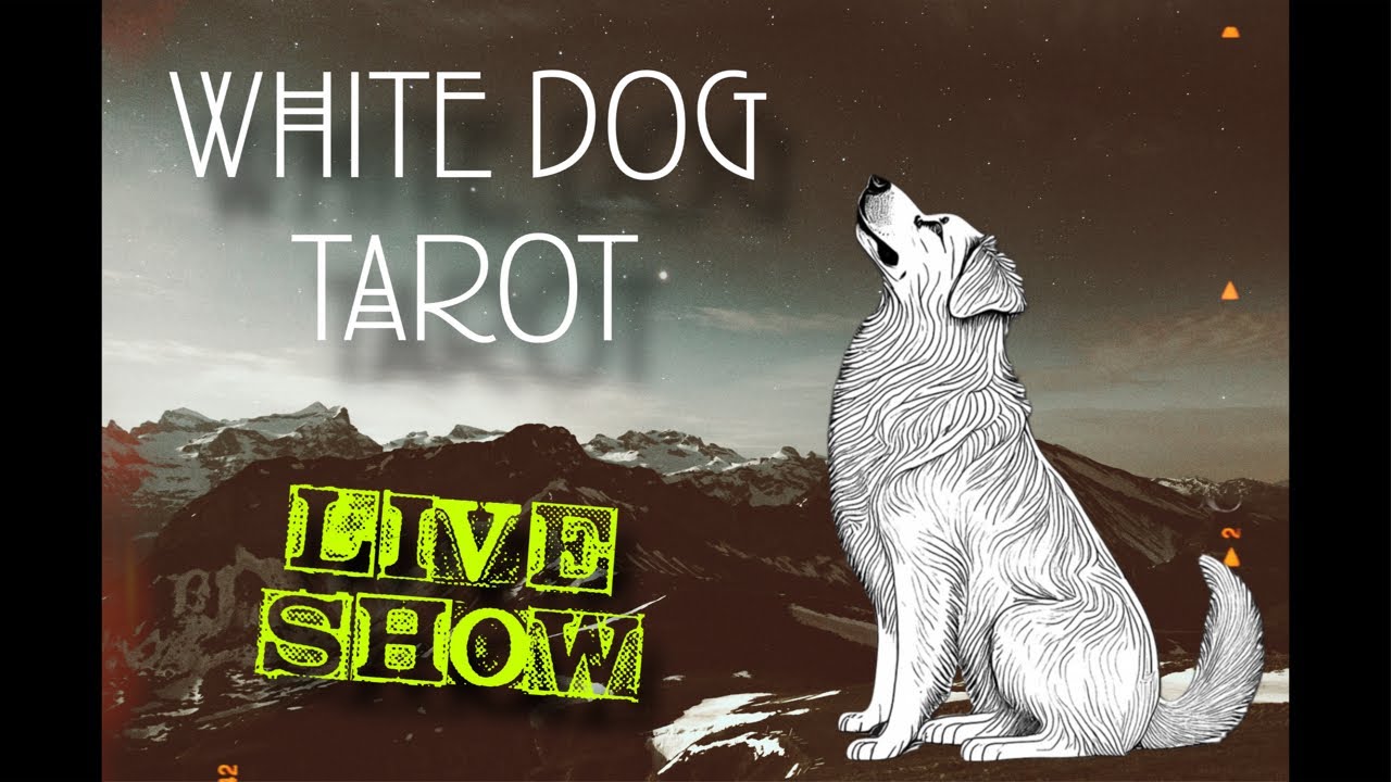 I’m alive! Ask me anything; Readings with Indy & Stefan @ The Maker