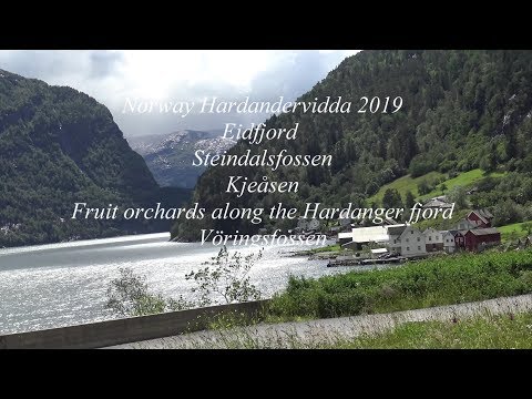 Video: Mandelformede negledesign for høsten 2019