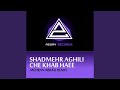 Che Khab Hayee Mehran Abbasi Remix 