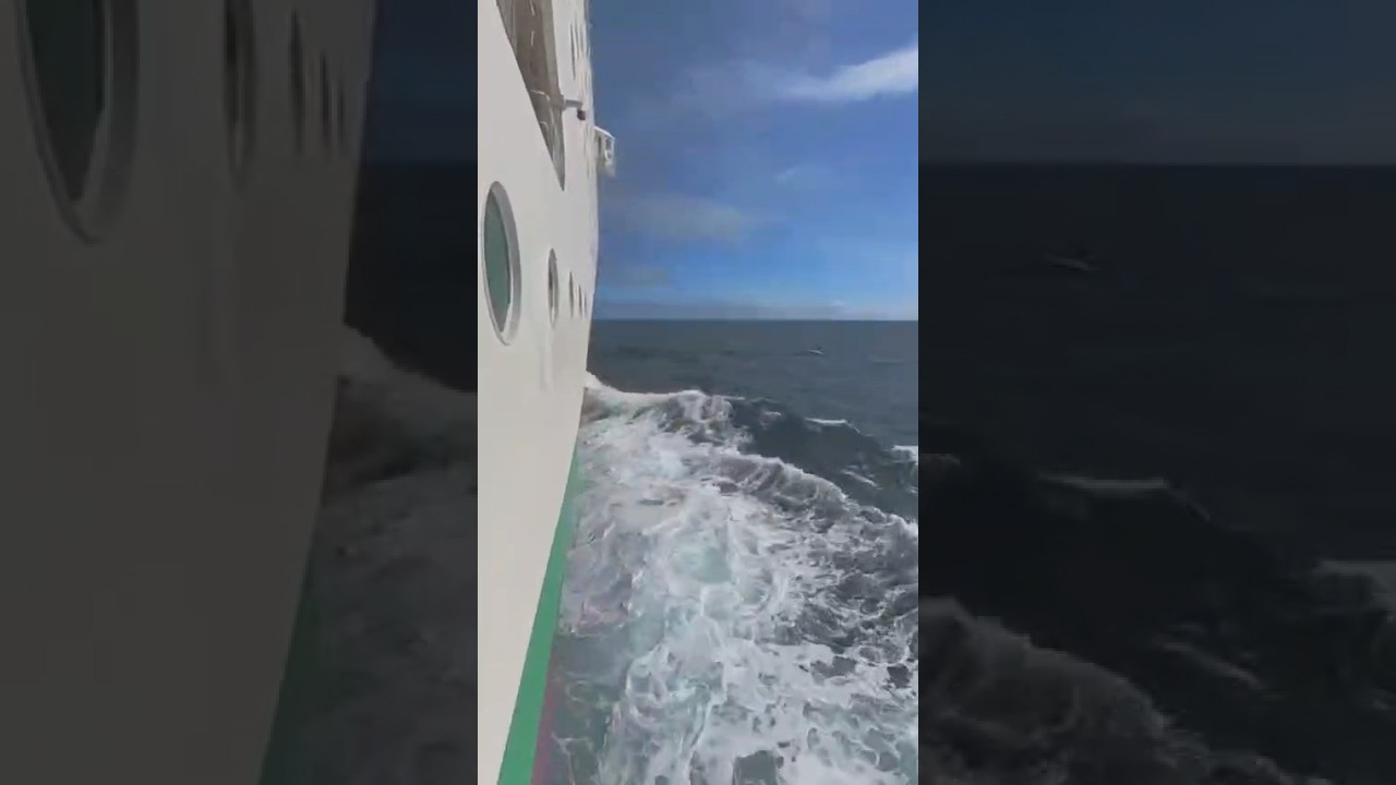 Hands up if you love a sea day!