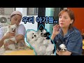 우리집 아이들이 많이 아픕니다..잘 이겨내볼게요ㅠㅠㅠㅠ