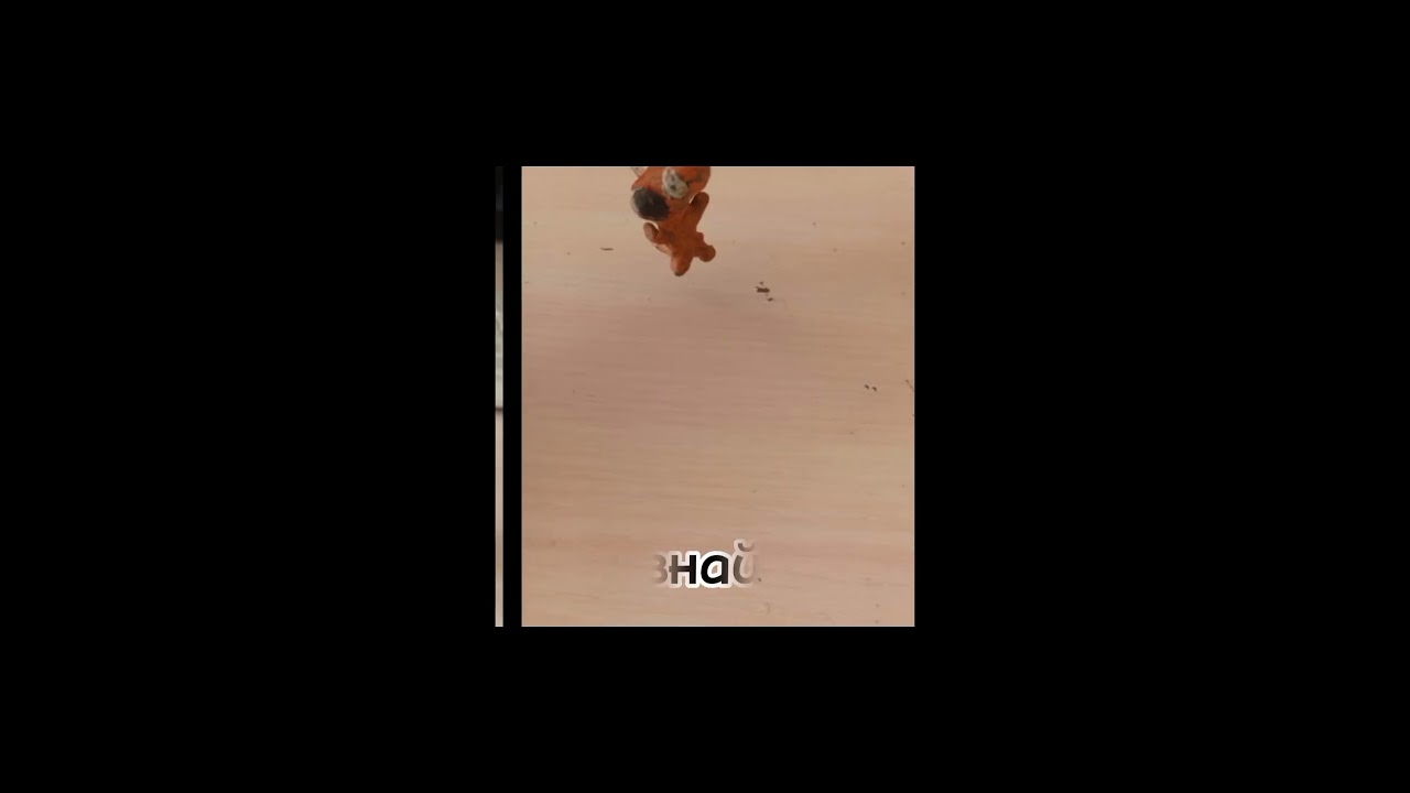 систер даёт имена 🌈радужным друзьям🌈 (Alan live)