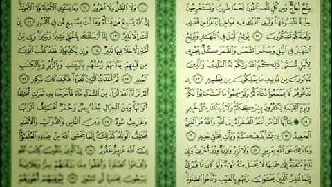 فجر 26-6-1432 ناصر القطامي سورة فاطر خشوع وابداع لا يوصف