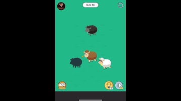 Brain Up: Quiz 66 Gameplay Walkthrough #Sssbgames