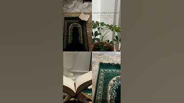 #تلاوة_خاشعة #تلاوة_هادئة #إسلام_صبحي #اسلام_صبحي #خواتيم_سورة_المؤمنون #سورة_المؤمنون