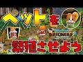 【ドラゴンクエストビルダーズ2】ペットの繁殖方法!かいたくレシピ攻略!【DQB2】