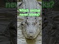 #gk #quiz #shorts #fish #animals #bird #challenge #generalknowledge