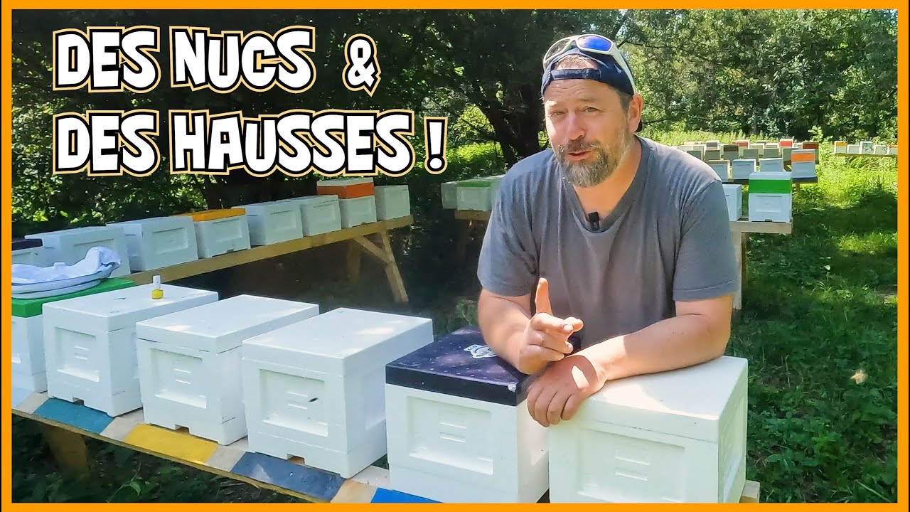 Des nucs & des hausses  [S06E25]