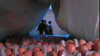 Aliens (2007)