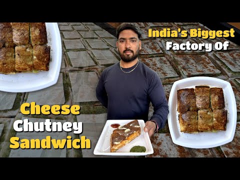 India’s Biggest Factory Of Cheese Chutney Sandwich😱 | Indian Street Food