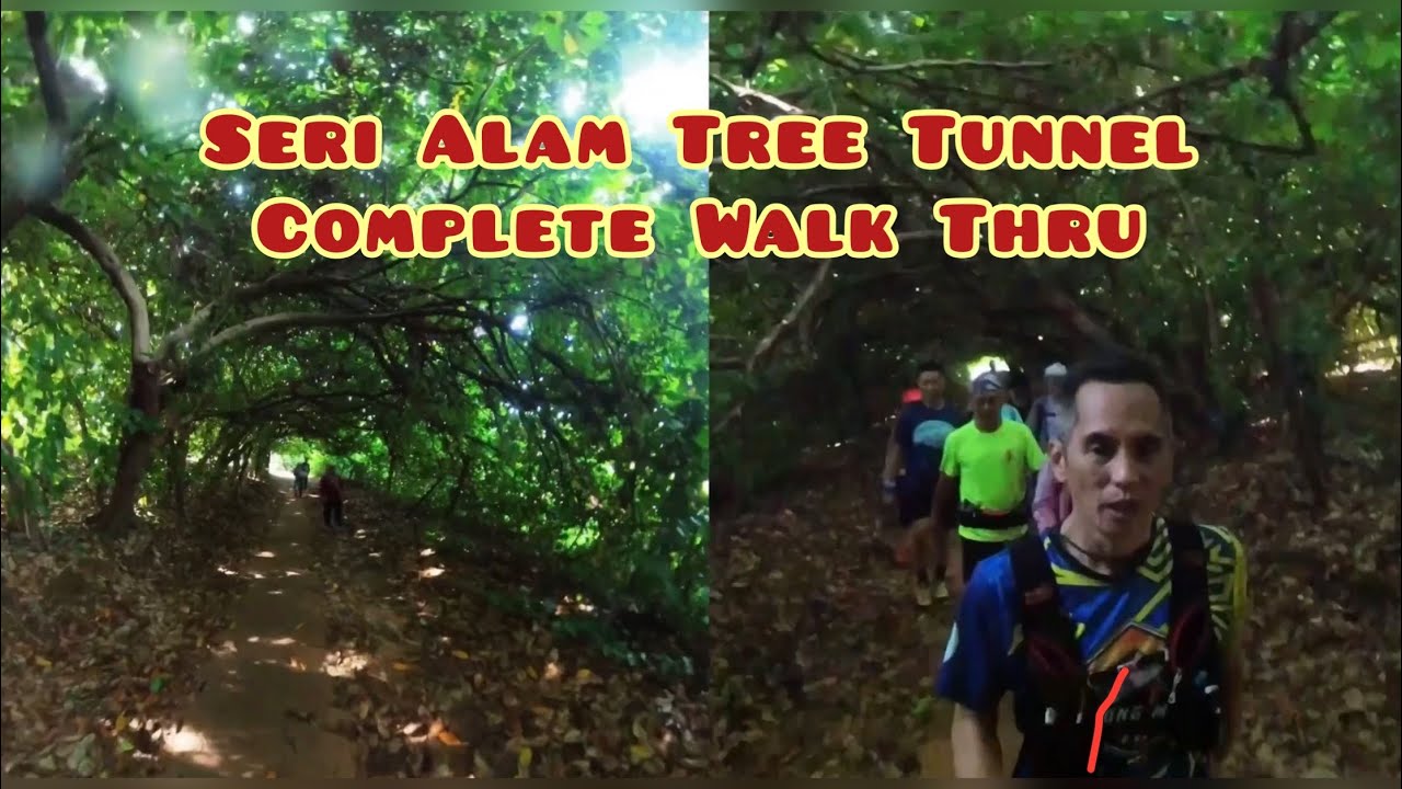 Tree Tunnel @ Seri Alam- Complete Walk Thru
