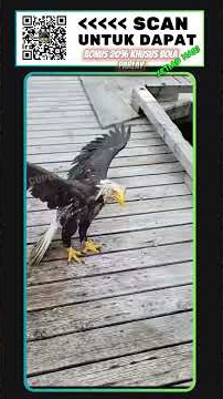 Like ya. #fypシ #xyzbca