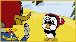 Woody Woodpecker | Cold Inside | Full Episodes