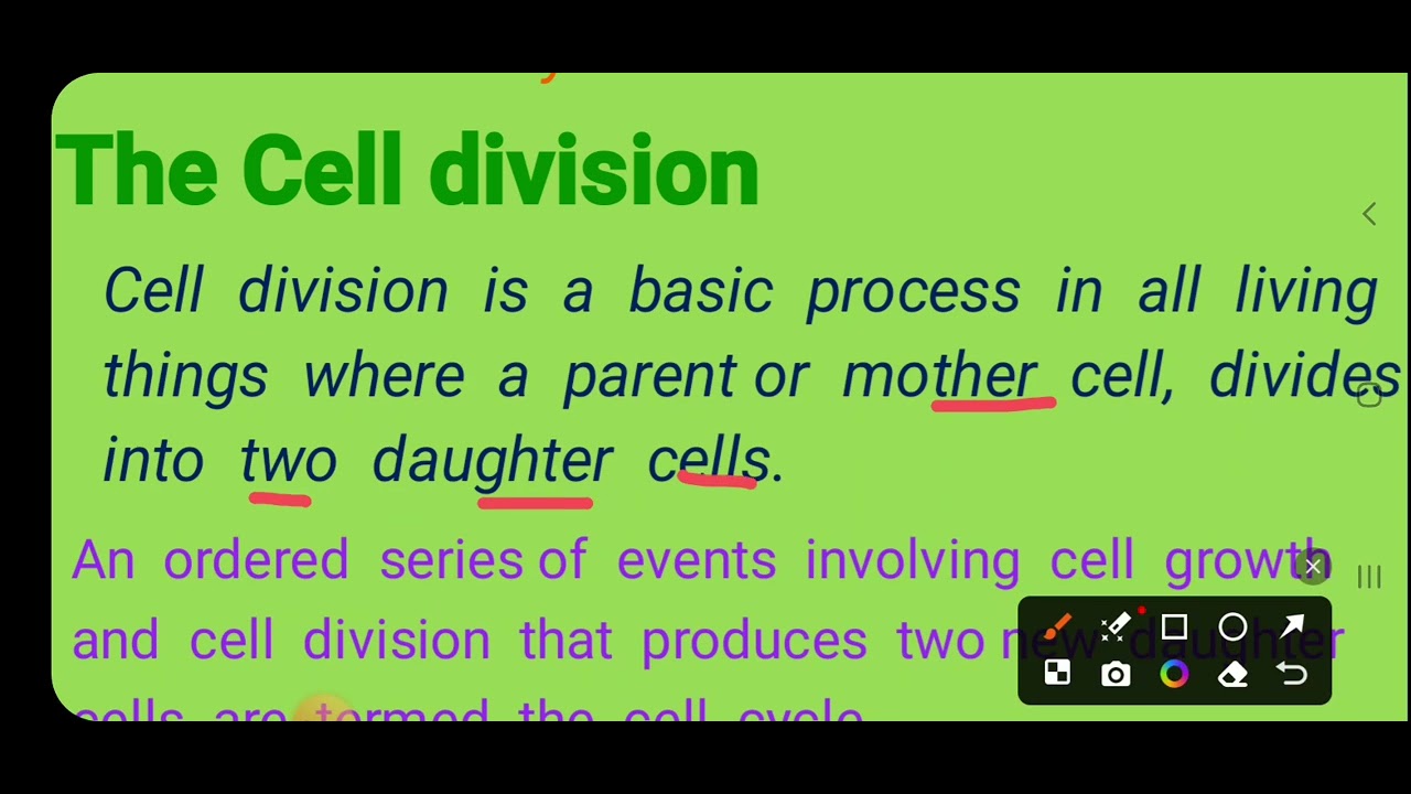 BIOLOGY GRADE 10 UNIT 4 PART 1 CELL CYCLE በአማርኛ - YouTube