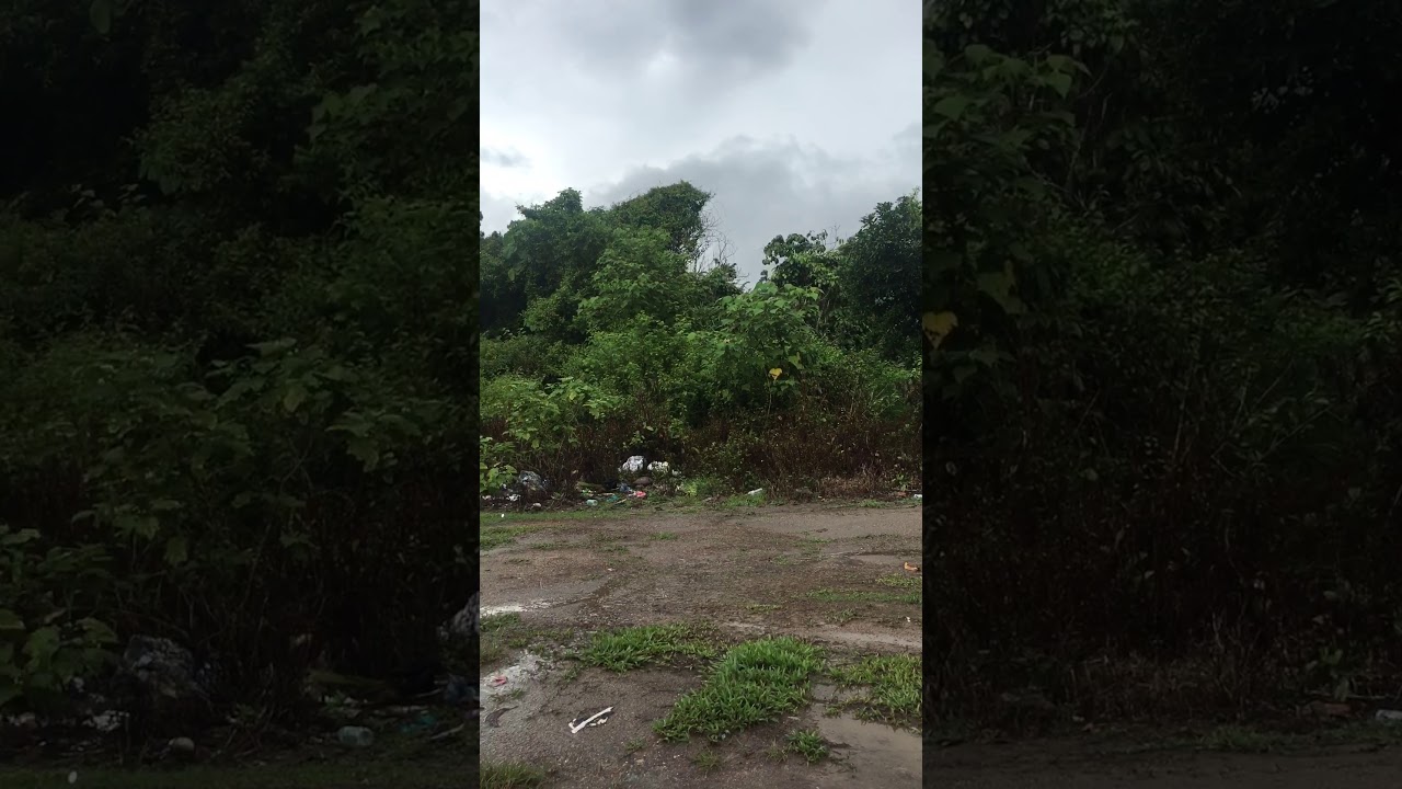 Depan rumah - YouTube