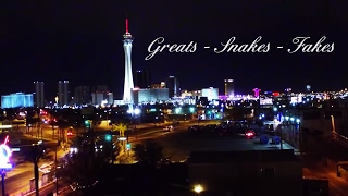 RyZe - Greats, Snakes, Fakes Feat. Eric Wayne