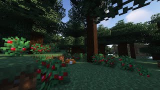 The Taiga documentary