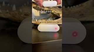 Tik Tok Made Me Buy It Doorwindow Sensor