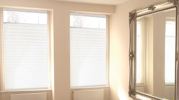 Cordless Top Down Bottom Up Pleated Shades