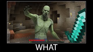 Famous Minecraft wait what meme part 28 realistic zombie Net Worth
