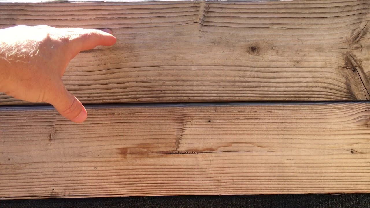 Грядки для обрезки деревьев своими руками: выращивайте сотни здоровых деревьев на небольшом прост...