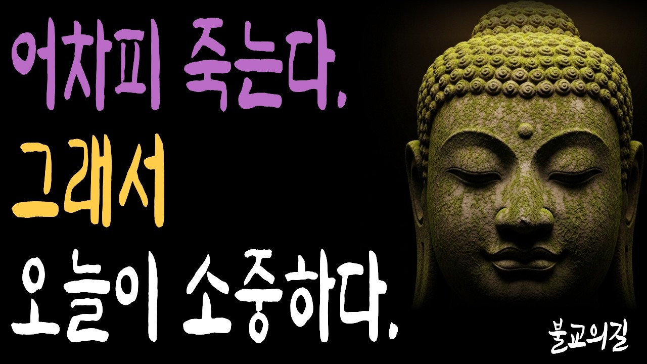 어차피 다 떠납니다, 오늘을 이렇게 사세요 | 부처님말씀  | 시니어불교 | 불교의길 | 마음의평안