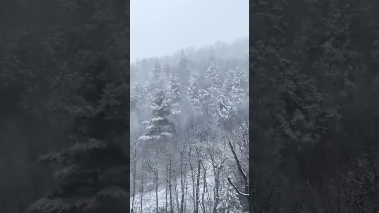 Winter is coming #snowfall