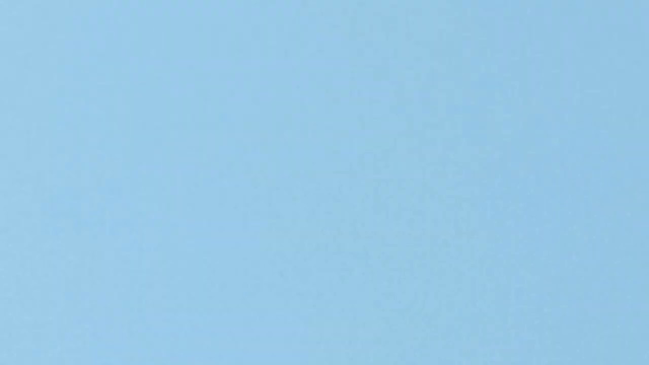 Monarch Butterfly Super Generation Migration 2022  Lake Michigan Sunset Coast 41st Parallel Offshore