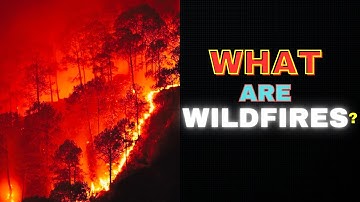 WILDFIRES Explained