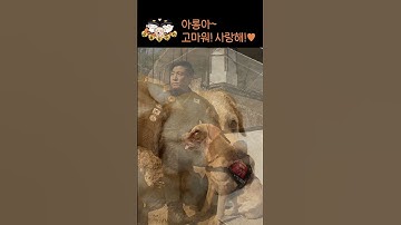 🐕‍🦺은퇴 119 구조견과 👨‍🚒소방관의 이야기