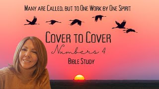 Cover to Cover Bible Study  Numbers 4 Session 119 Wealth