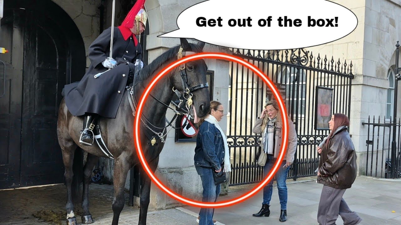 CLUELESS tourist told off by the King's Guard 