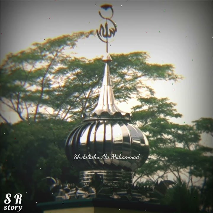 Sholallohu Ala Muhammad || story WA sholawat