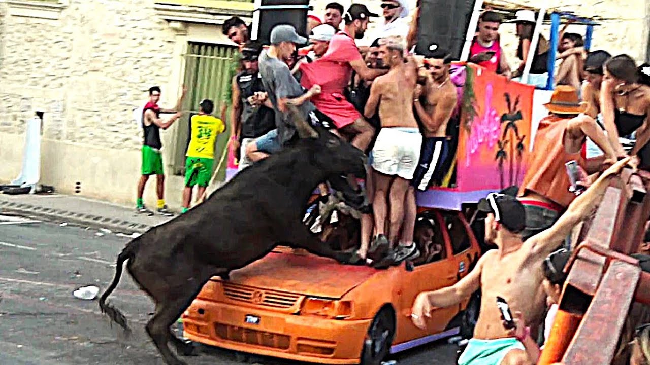 Cournonterral ▶Encierro/Bandido◀ 03.08.2025.