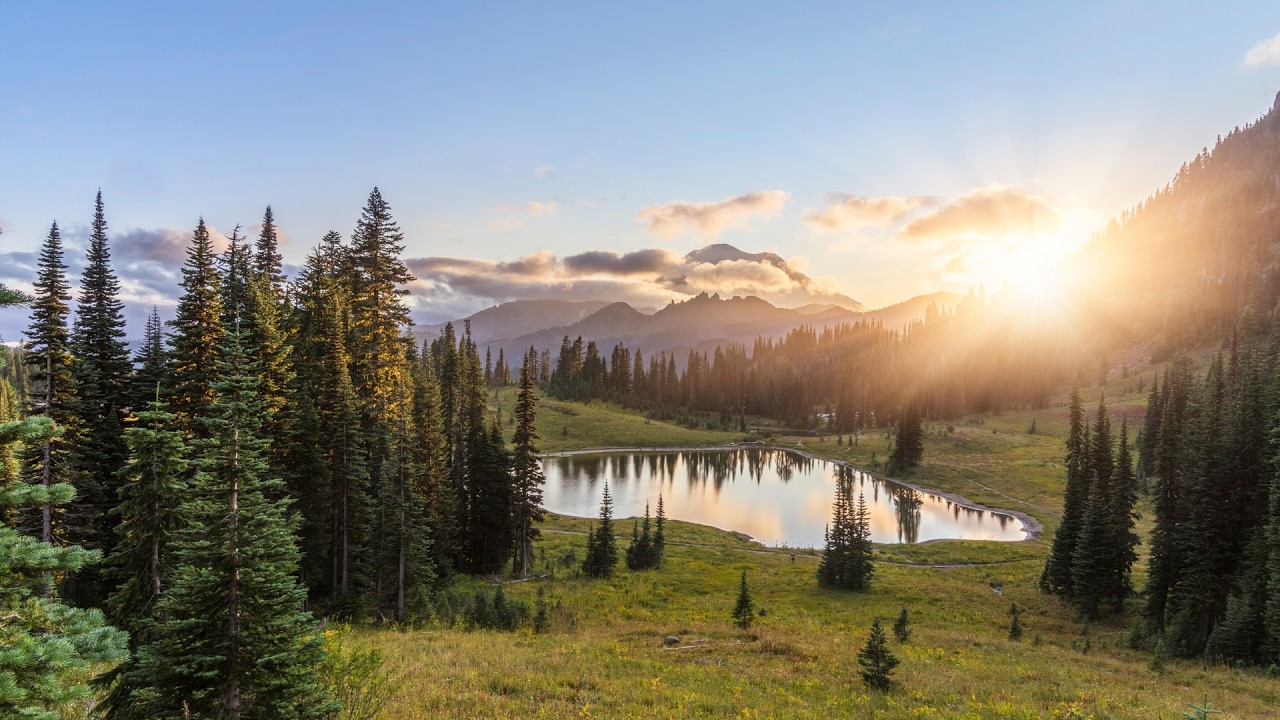 Watch Quiet Forest Peace, Beautiful Relaxing Music, Peaceful Soothing Instrumental Music, by Tim Janis on YouTube Watch Quiet Forest Peace, Beautiful Relaxing Music, Peaceful Soothing Instrumental Music, by Tim Janis on YouTube